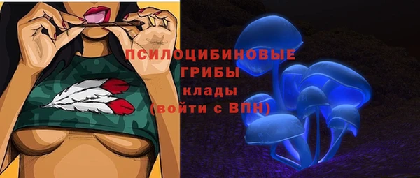 соль ск Алексин
