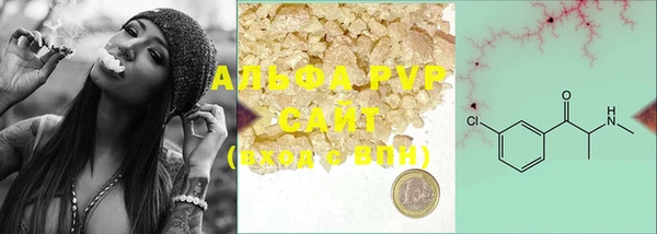 ГАЛЛЮЦИНОГЕННЫЕ ГРИБЫ Козловка