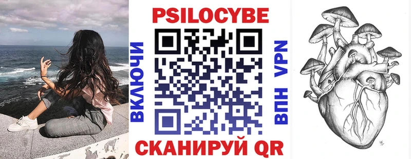 Псилоцибиновые грибы MAGIC MUSHROOMS  MEGA как войти  darknet наркотические препараты  наркота  Нижнеудинск 