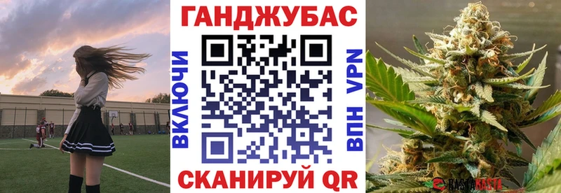 Марихуана план  закладка  Нижнеудинск 